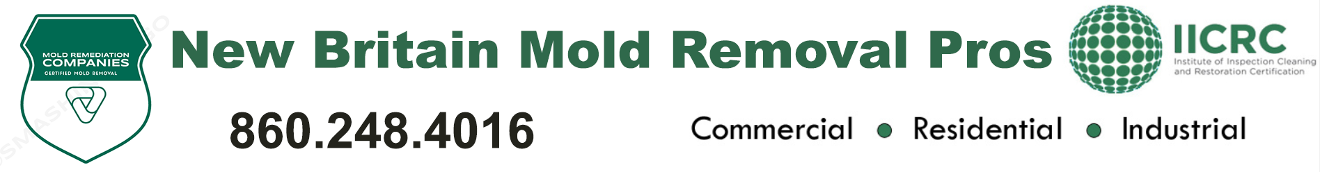 New Britain Mold Removal Pros