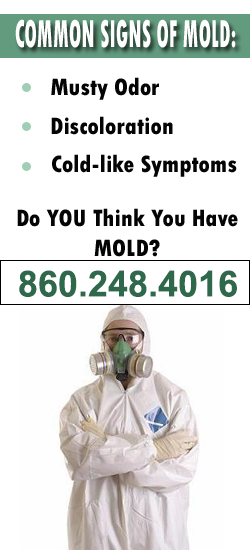New Britain Mold Remediation Contractor